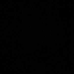 Meet your Posher, Lindie